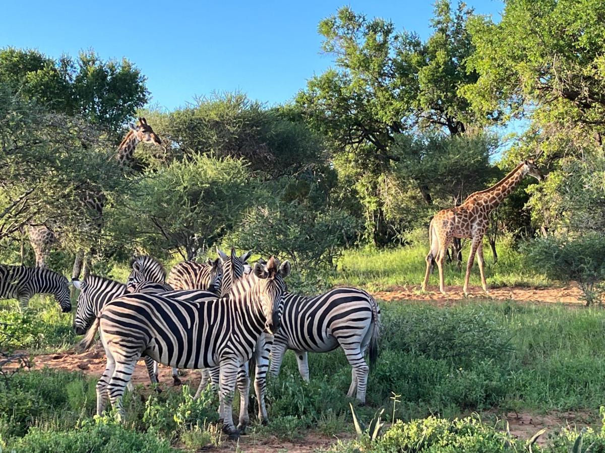 Lindiwe Safari Lodge โฮดสปรูท ภายนอก รูปภาพ